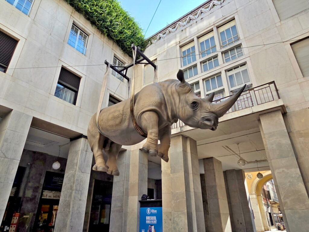 Hanging rhinoceros sculpture in Brescia city center courtyard, Lombardy, Italy